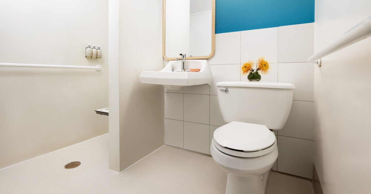 Partial Ocean View Mobility Accessible Roll-in Shower 2