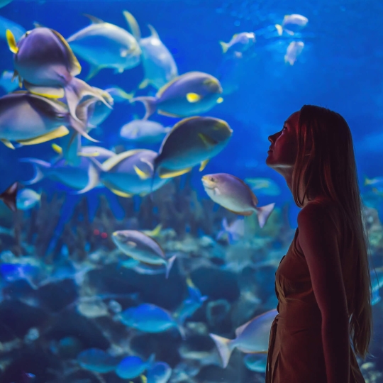 Woman contemplating the view of fishes at the Love Maiu, Hawaiian aqaurium