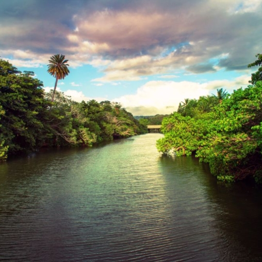 Oʻahu's Best Beaches 11