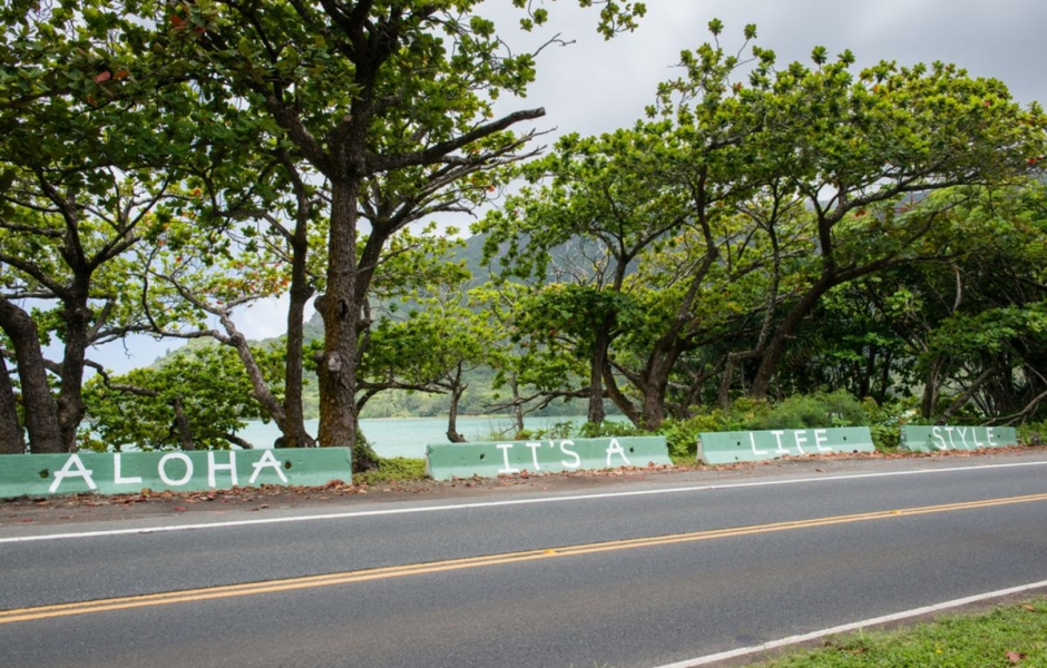 Oʻahu's Best Beaches 15