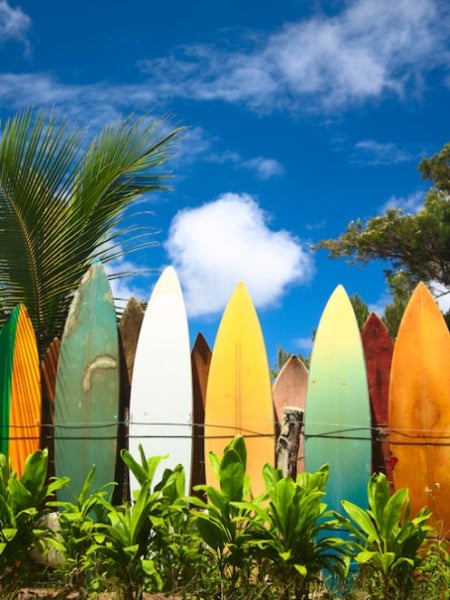Oʻahu's Best Beaches 24