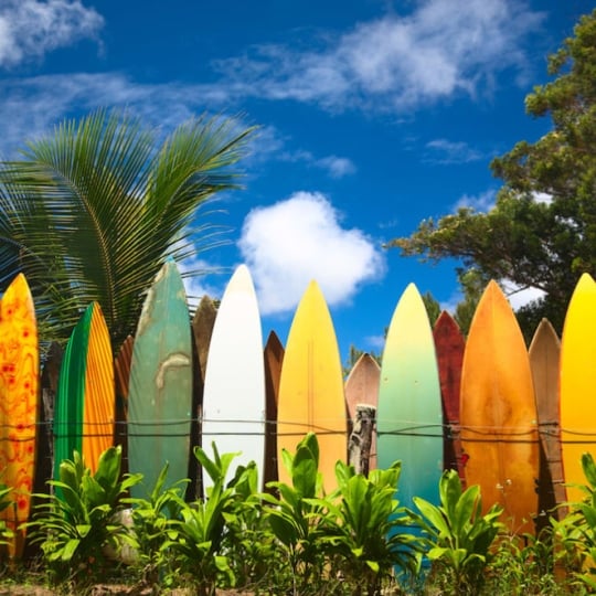 Oʻahu's Best Beaches 24