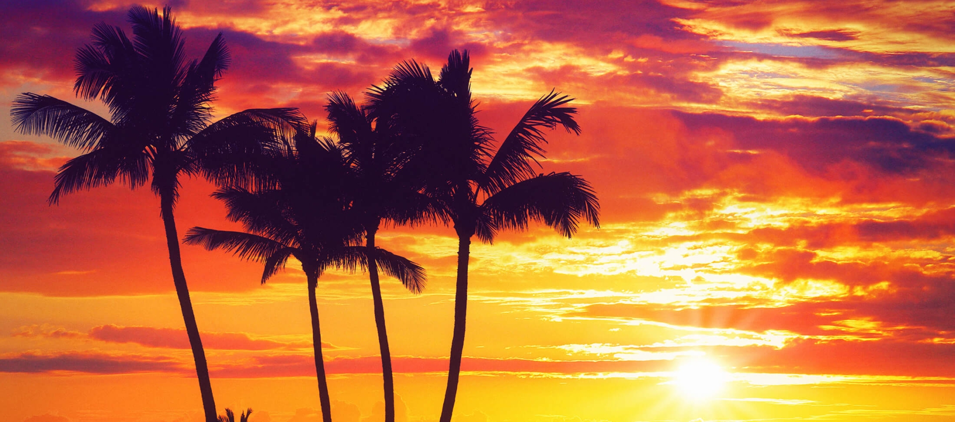 Events in Waikiki The Twin Fin Hotel