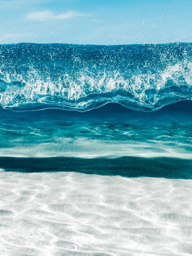 Blue Wave